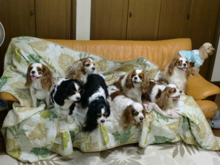 集合写真