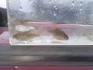 SH3B0731.jpg