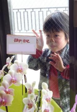 豚鼻