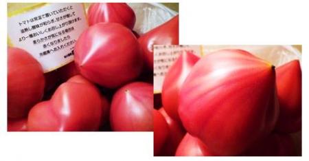 tomato.jpg
