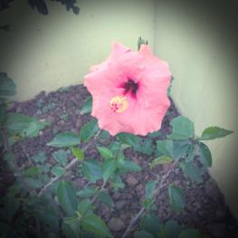 FxCam_1356058302339.jpg