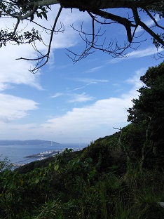 IMG_20141004_085140.jpg