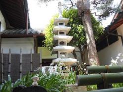 DSCF0573.jpg