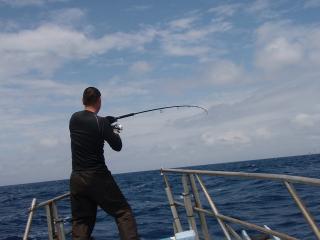 s-P4200324.jpg