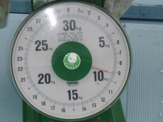 s-P4200333.jpg