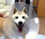 元気だよ〜♪