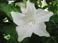 s-029_20110925203724.jpg