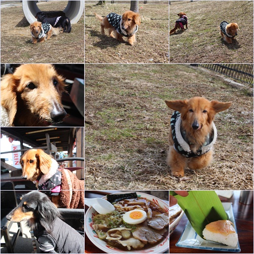 ドックラン&板倉らーめん