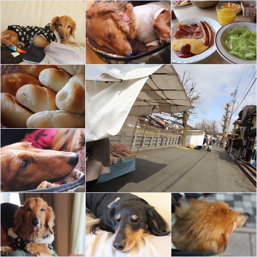 クローバーあさ&朝市