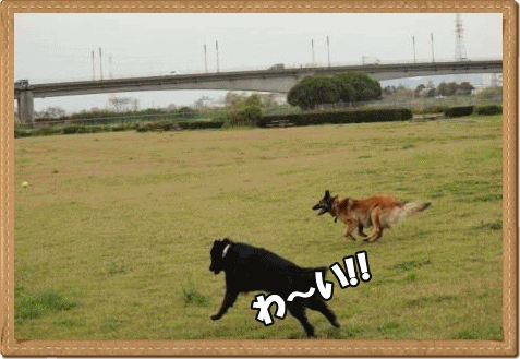 111.gif