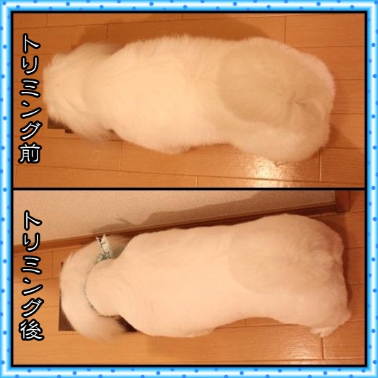 1_20120430073337.jpg