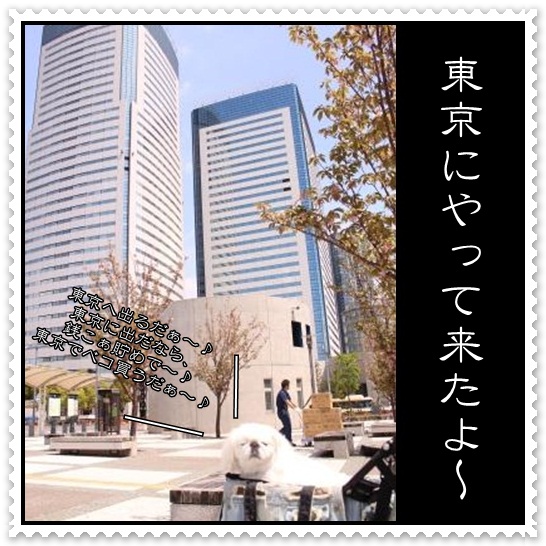 1_20120501105917.jpg