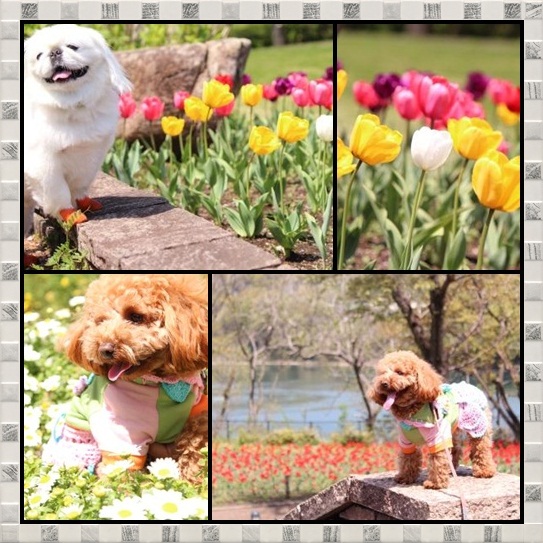 2_20120425112955.jpg