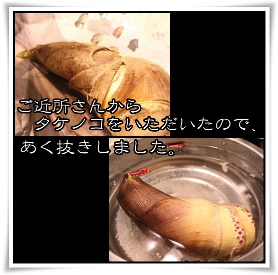 2_20120426153551.jpg