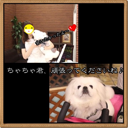 2_20120427171925.jpg