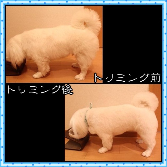 2_20120430073345.jpg