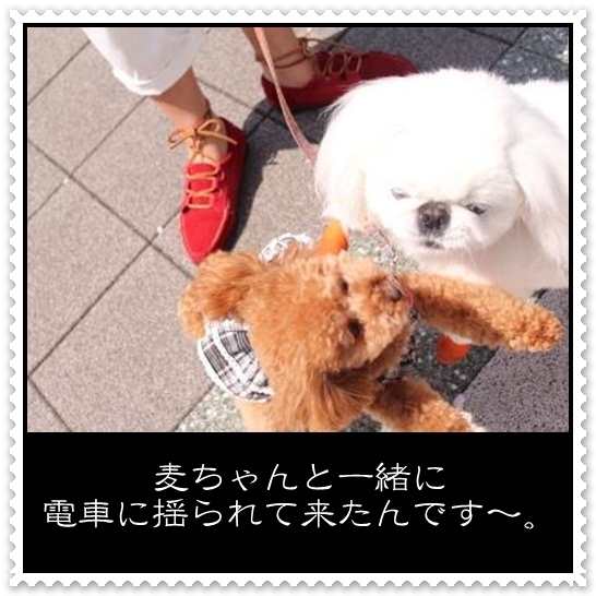 2_20120501105928.jpg