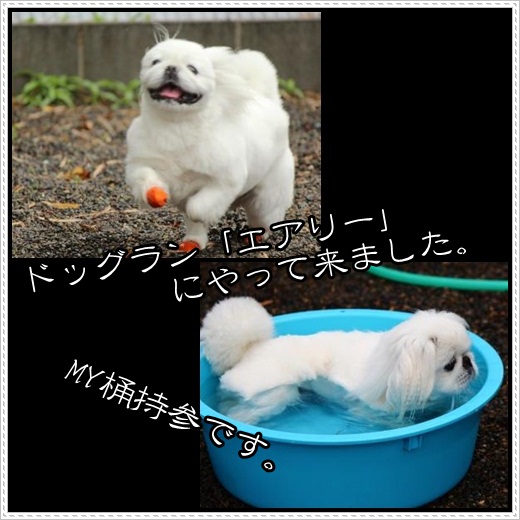 2_20120504164917.jpg