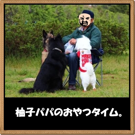3_20120420164136.jpg