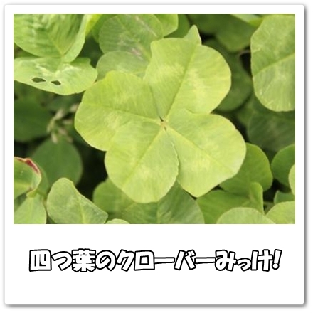 3_20120421142621.jpg