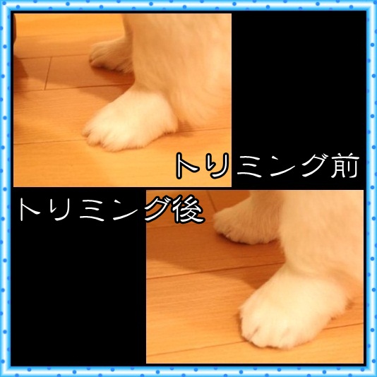 3_20120430073351.jpg