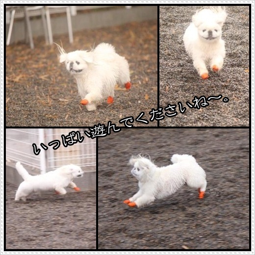 3_20120504164936.jpg