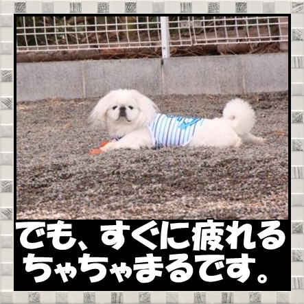 4_20120418163107.jpg