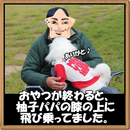 4_20120420164148.jpg