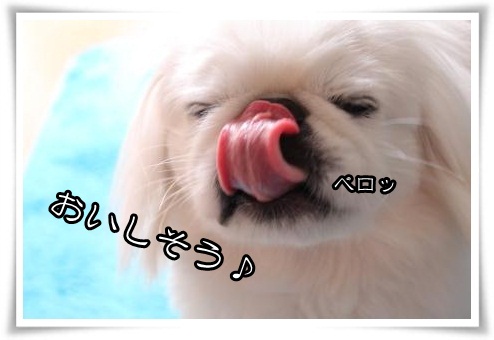 4_20120426153741.jpg