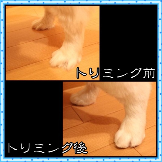 4_20120430073400.jpg