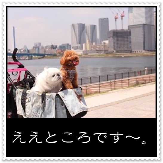 4_20120501105944.jpg