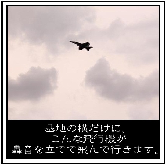 4_20120502094539.jpg