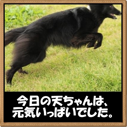 6_20120420164216.jpg