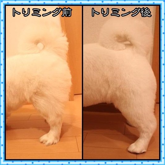6_20120430073415.jpg