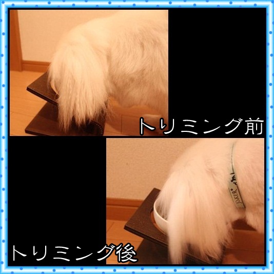 7_20120430073423.jpg