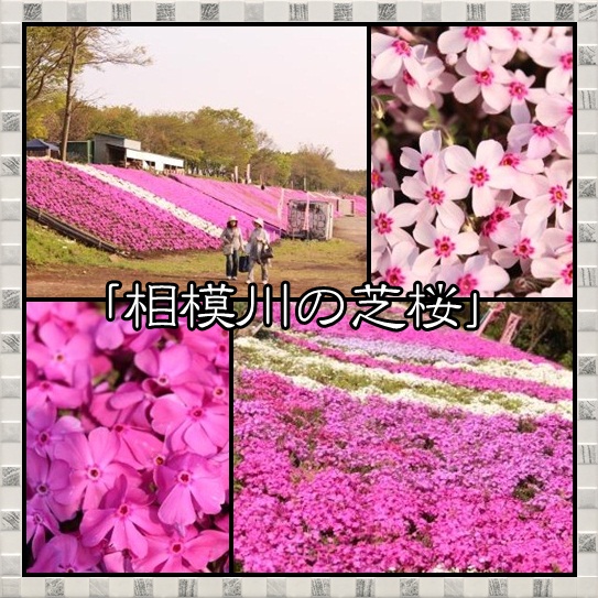 8_20120425113050.jpg
