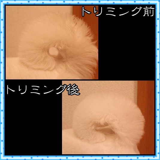 8_20120430073436.jpg
