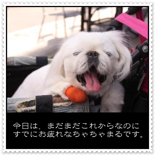 8_20120501110327.jpg