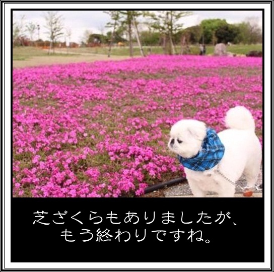8_20120502094612.jpg