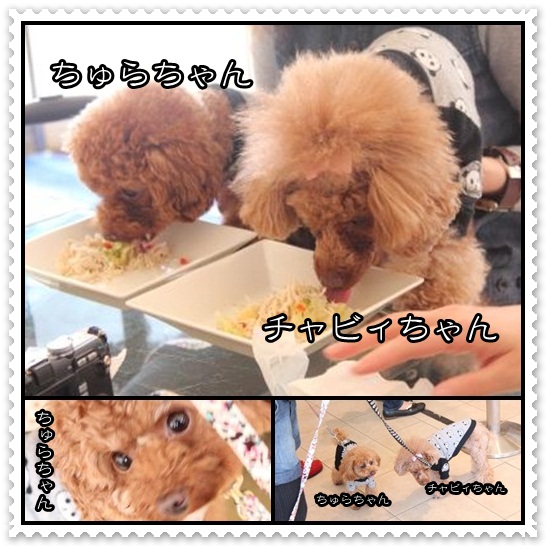 90_20120501110344.jpg