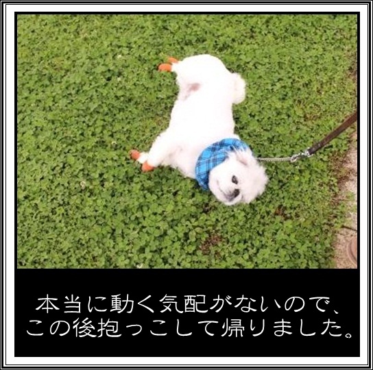 90_20120502094631.jpg