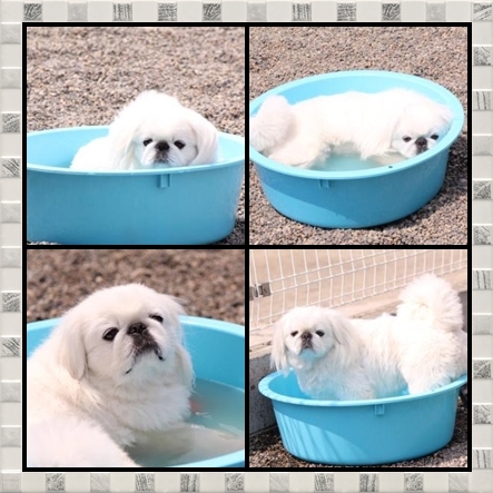 91.jpg