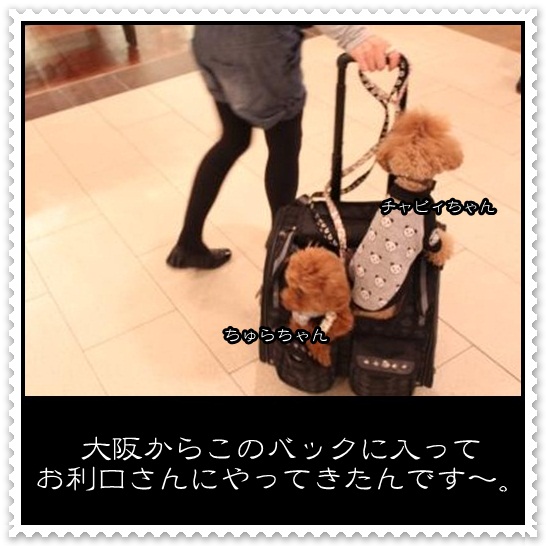 91_20120501110352.jpg