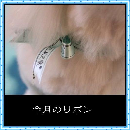 92_20120430073520.jpg