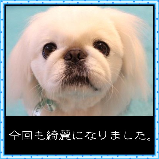 93_20120430073527.jpg