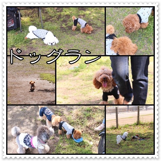 97_20120501110449.jpg