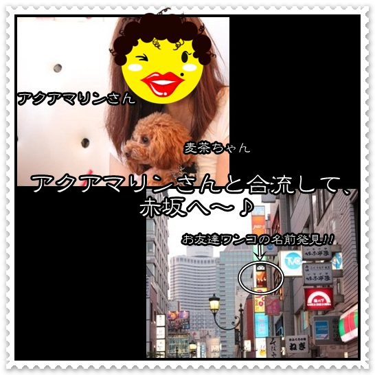 99_20120501110507.jpg
