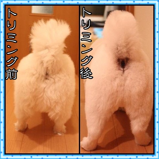 9_20120430073447.jpg