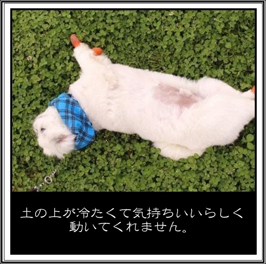 9_20120502094621.jpg