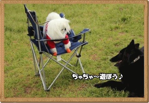 anigif.gif